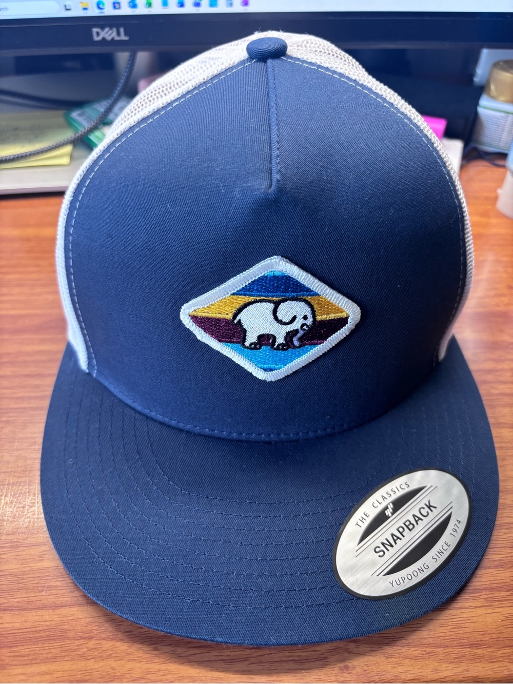 Ivory Ella SnapBack Hat